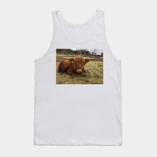 Scottish Highland Cattle Bull 2339 Tank Top